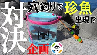 【穴釣りバトル】ひたすら穴を狙い撃ったらレアフィッシュ出現！？＃アナヅリスト