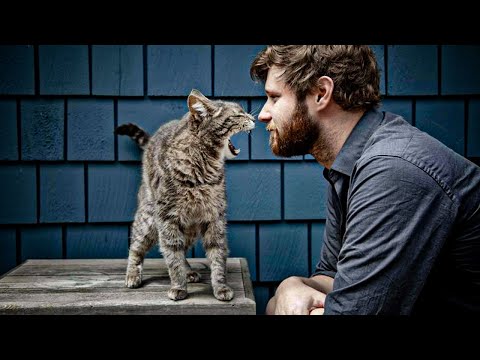 Amazing Facts You Never Knew About Your Cat