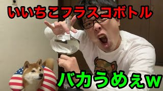【焼酎】いいちこフラスコボトル飲んだらウマすぎたｗ【柴犬】