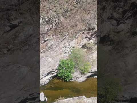 Rumi Punco, la cocha Tucumán 2025