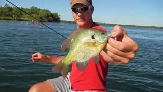 preview picture of video 'Slip Bobber Rigs for Bluegill - Glendalough State Park (Annie Battle Lake)'