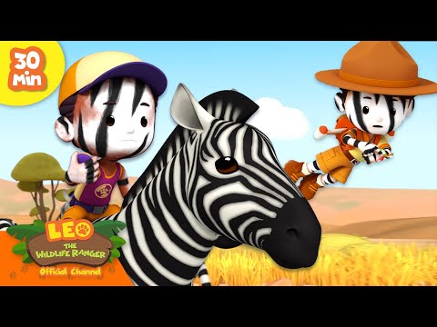 🟢 FUN PATTERNS ON ANIMALS! 🐆 Stripes, Spots & more! 🦓 | Leo the Wildlife Ranger | Kids Cartoons