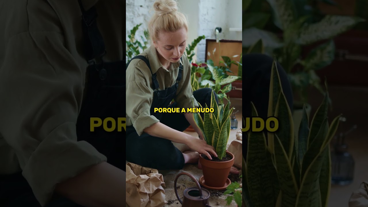 Era tan rico que el gobierno británico le pidió dinero prestado...
