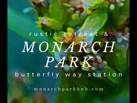 The Monarch Park - Episode 1: Breaking Ground