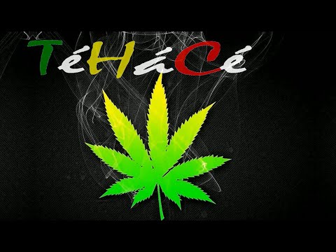 Povinná slepota - Povinná Slepota - TéHáCé