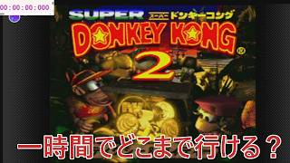 一時間でクリアできる？スーパードンキーコング2やる【ライスゲームズ】 #ゲーム実況  #ゲーム