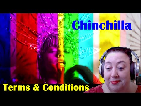 Terms and Conditions | Chinchilla | First Time Reaction