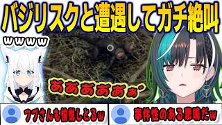 ダクソのトラウマ「バジリスク」と出会いガチ絶叫！コメ欄のフブさんにも愉悦される千速【輪堂千速/FLOWGLOW/ホロライブ/切り抜き】