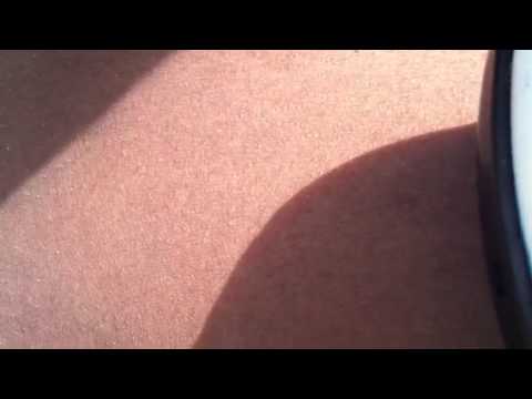 Ride or Die- C-White & L-Cizzle