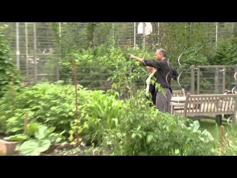 Preisträger Bauherrenpreis Neubau 2016 - Berlin-Tiergarten, Pohlstraße