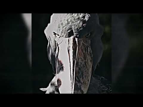 h6itam - FUNK OSCURO SUPERSLOWED