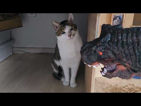 무는 지금 나에게 원하는게 있다