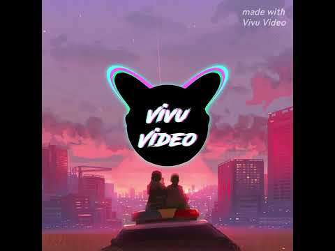 Mr. Kitty, the neighbourhood - after dark x sweater weather