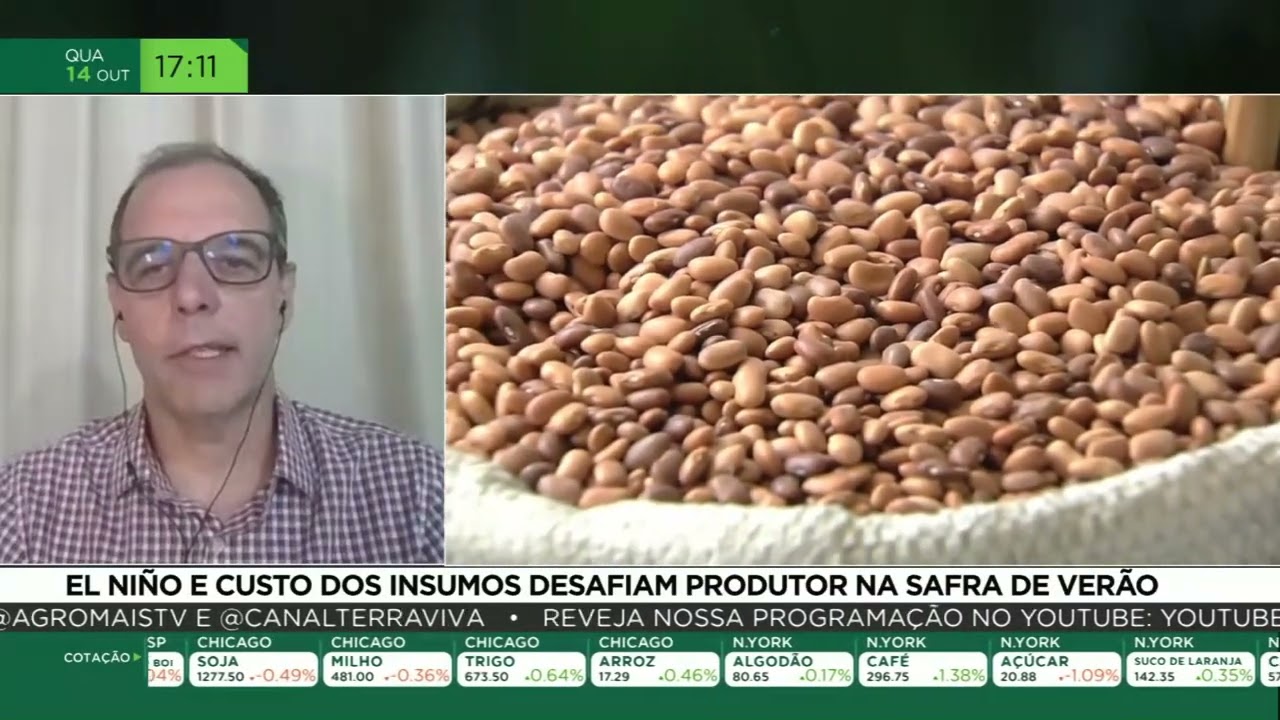 El Niño e custo dos insumos desafiam produtor na safra de verão