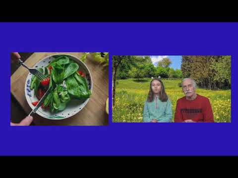 Fakty Czwórki odcinek specjalny