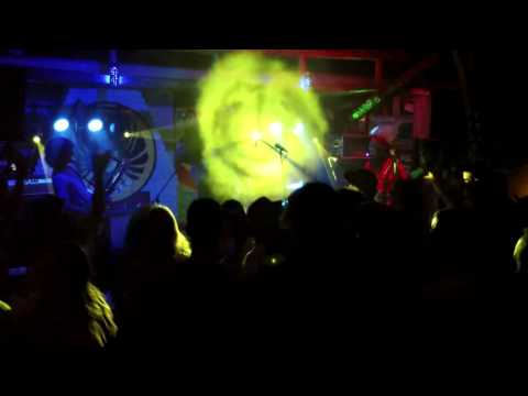 Pigeons Playing Ping Pong "Julia" Guanabanas, 10-3-2015