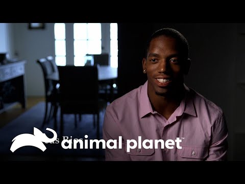 Logra sobrevivir al hongo aspergillus | Parásitos Asesinos | Animal Planet Latinoamérica