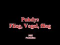 Puhdys - Flieg, Vogel, flieg(Lyrics)