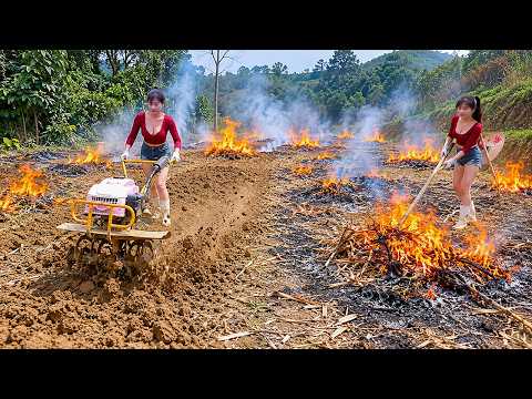 Using Small Plows To Prepare Soil for Farming - Her Green Haven