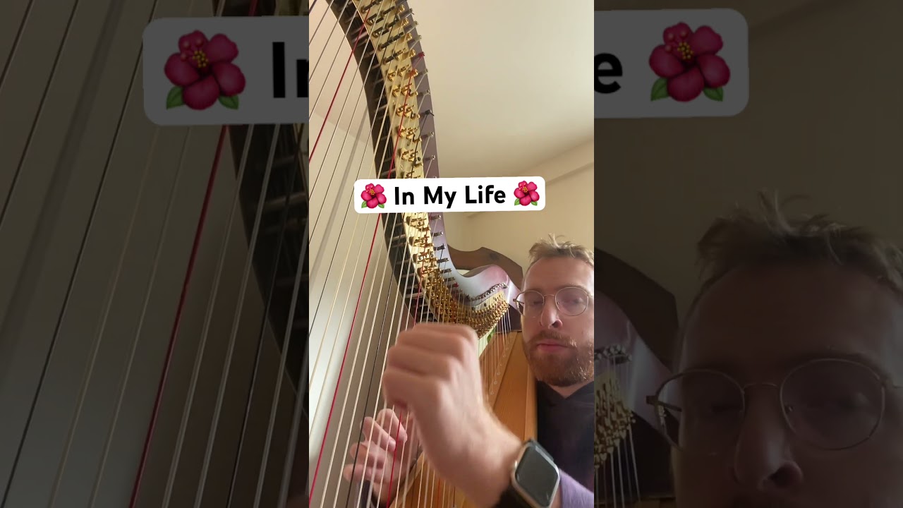 Promotional video thumbnail 4 for Zane Mallett, Harpist