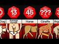 Comparison Animal Pen S Size