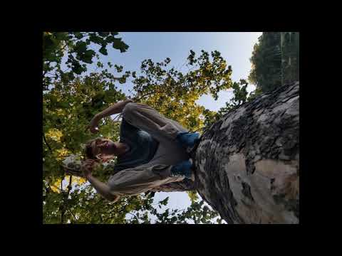 1000 Volts - Zeds Dead (Bezima Remix)