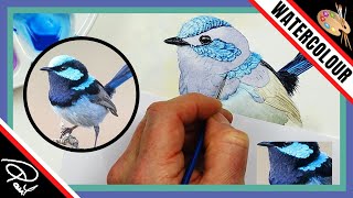 How to Paint Feathers - 5 EASY TIPS & TECHNIQUES (Watercolor Birds)
