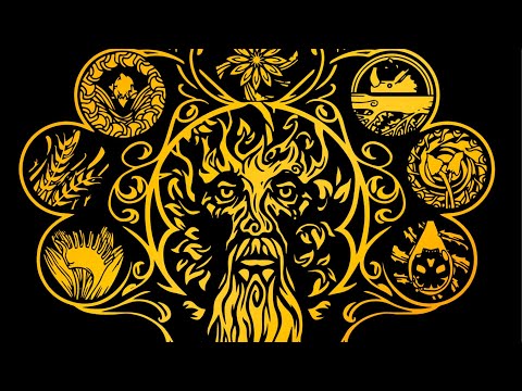 DSA Durchgeblättert Folge 271 - Archiv der Kräuter