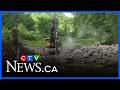 Historic N B Dam Being Torn Down