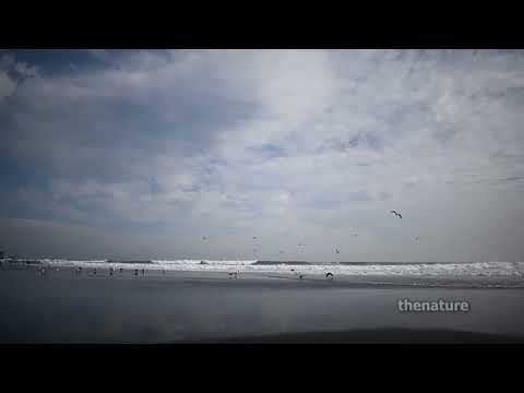 Playa Llico Vichuquén Maule Chile 8 