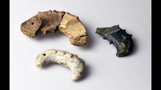 古墳時代の巨大集落と希少な遺物「反丸遺跡」