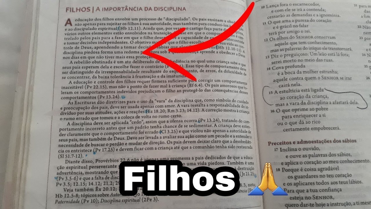 O QUE A BIBLIA DIZ SOBRE...📖 filhos|a importância da Disciplina! Referências bíblicas!