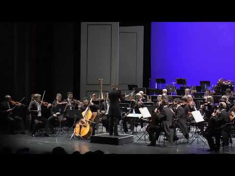 Roman Patkoló - Johann Matthias Sperger, Concerto No.2 D-Major