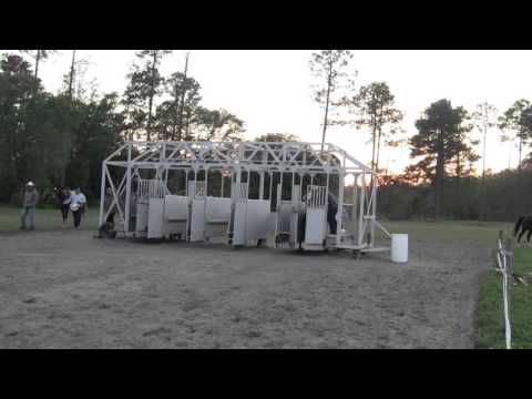 Carreras de Caballo 2016 El Guerrillero vs La Berrinchuda