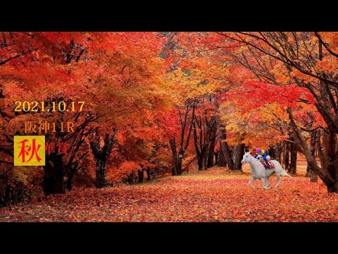 2021.10.17  阪神11R  秋華賞
