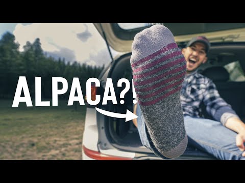 Socks That Never Smell!? - Follow Hollow Alpaca Socks Review
