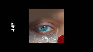 Download lagu Momery - Moon mp3