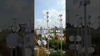 상암동 '하늘공원 서울 억새축제' 풍경  (2023.10.15.)