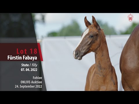 ONLIVE-Auktion Lot 18 Fürstin Fabaya Stute v. Fürst Samarant - Veneno