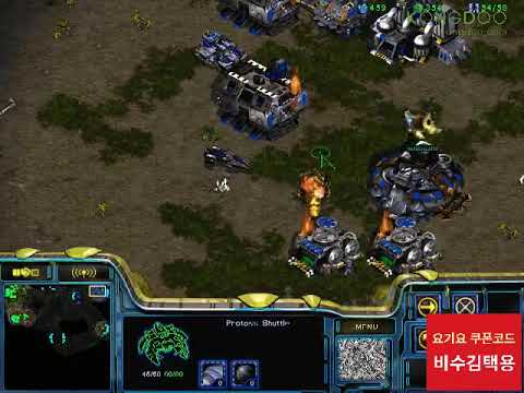 BW FPVBisu v Mong PvT 141013 1Set Fighting Spirit