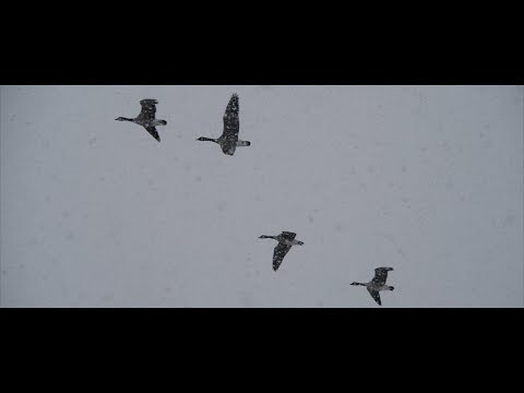 Sandwich, MA 02-08-21