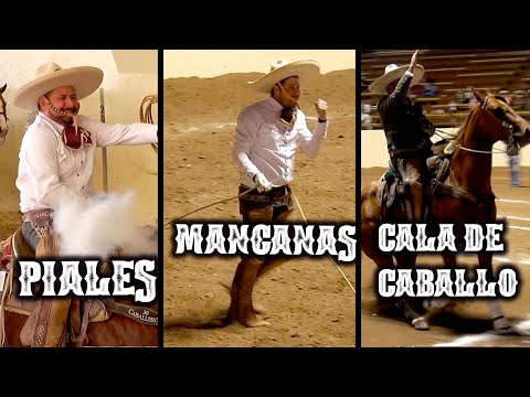MUSICAL - Cala de Caballo, Piales and Manganas - IV Centennial Championship 2020