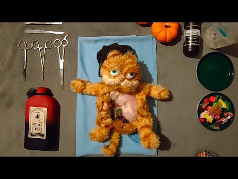 OPERATION BERRY CAKE | Halloween Special