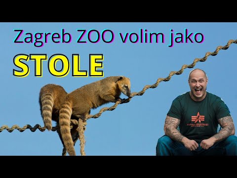 STOLE - Zagreb ZOO volim jako (Official video)