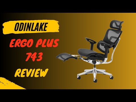 Maximize Your Comfort with OdinLake Ergo Plus 743 Review