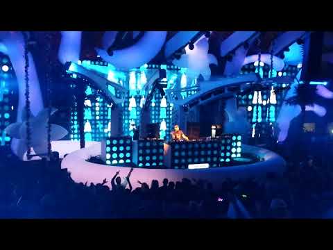 My Digital Enemy - Sunrise Festival 2015