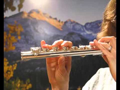 Di Zhao MiniDi Flute (New) - Sound Demo Low to Mid Range