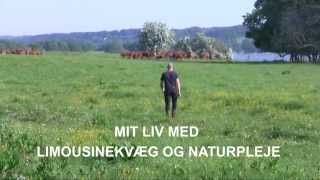 preview picture of video 'Smag på Landskabet -  Mit liv med Limousine kvæg og naturpleje'