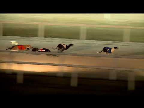 2017.12.31. 12. futam - AGÁR VERSENY