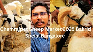 E P 3 Chamrajpet Sheep Market 2025 Bakrid Speial Bangalore/E P 3 ಚಾಮರಾಜಪೇಟೆ ಕುರಿ ಮಾರುಕಟ್ಟೆ 2025
